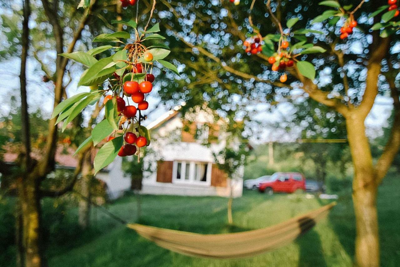 Sohodol  Casa Bunicii - Bran Sohodol 빌라 외부 사진